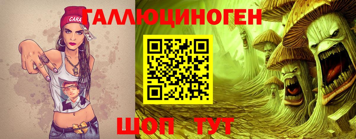 Псилоцибиновые грибы Cubensis Мариинск